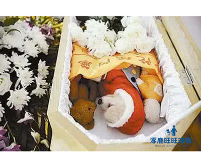 怀柔区宠物殡葬根据主人需求来策划宠物葬礼2022已更新(今日/动态)